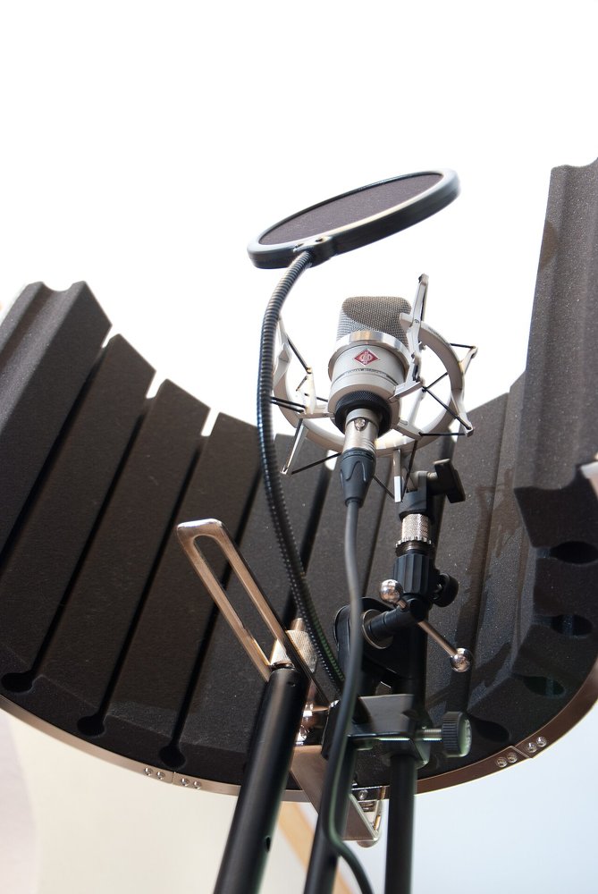 Neumann TLM 102